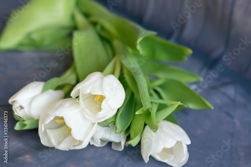 A bouquet of white tulips is on the table  gray background.