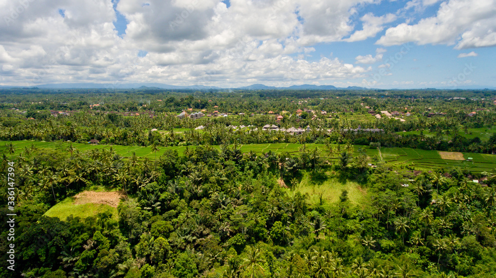 A typical view of a Balinese village in the jungle. Aerial view, Bali, Indonesia.
