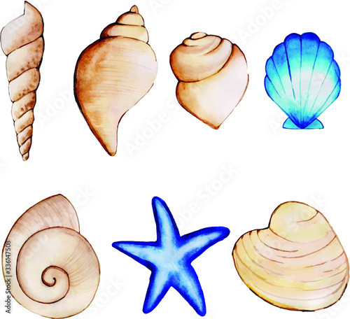 Watercolor Underwater Hand Drawn Shells Collection