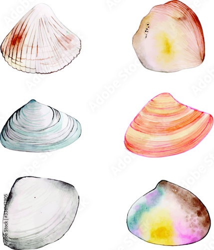 Watercolor Underwater Hand Drawn Shells Collection