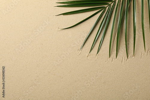 Palm branch on sea sand, space for text