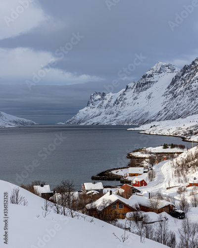 villaggio di pescatori con le case rosse in Norvegia oltre il circolo polare artico photo