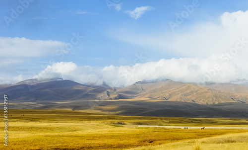 Beautiful landscape of Bayanbulak Grassland National Nature Reserve