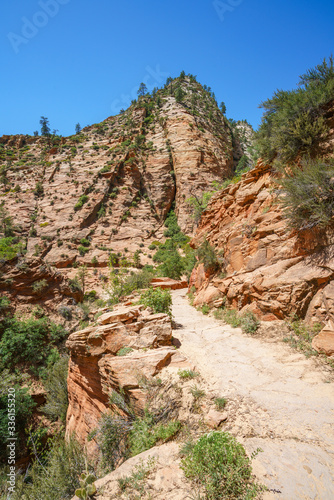 hiking the observation point trail in zion national park  usa