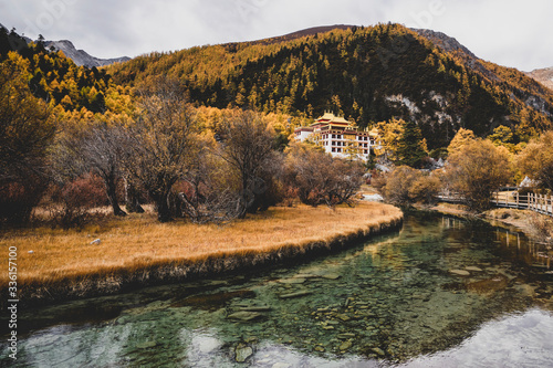 Nature landscape river in pine forest mountain valley,Snow Mountain in daocheng yading,Sichuan,China.