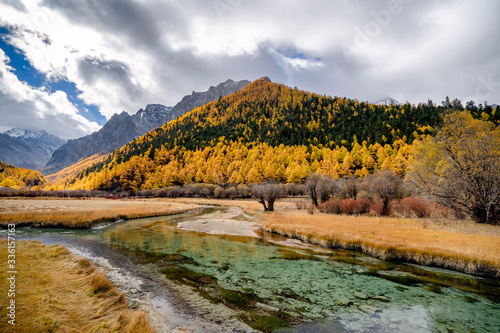 Nature landscape river in pine forest mountain valley,Snow Mountain in daocheng yading,Sichuan,China.