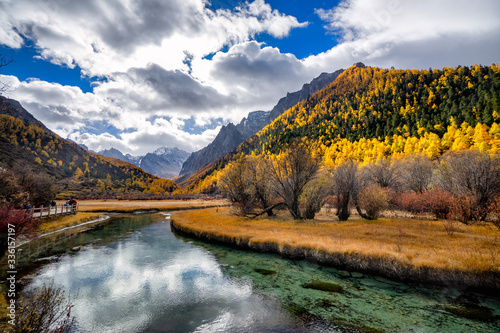 Nature landscape river in pine forest mountain valley,Snow Mountain in daocheng yading,Sichuan,China.