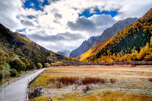 Nature landscape river in pine forest mountain valley,Snow Mountain in daocheng yading,Sichuan,China.