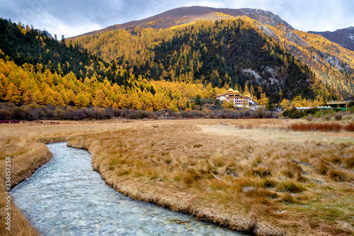 Nature landscape river in pine forest mountain valley,Snow Mountain in daocheng yading,Sichuan,China.