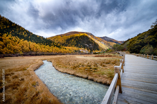 Nature landscape river in pine forest mountain valley,Snow Mountain in daocheng yading,Sichuan,China.