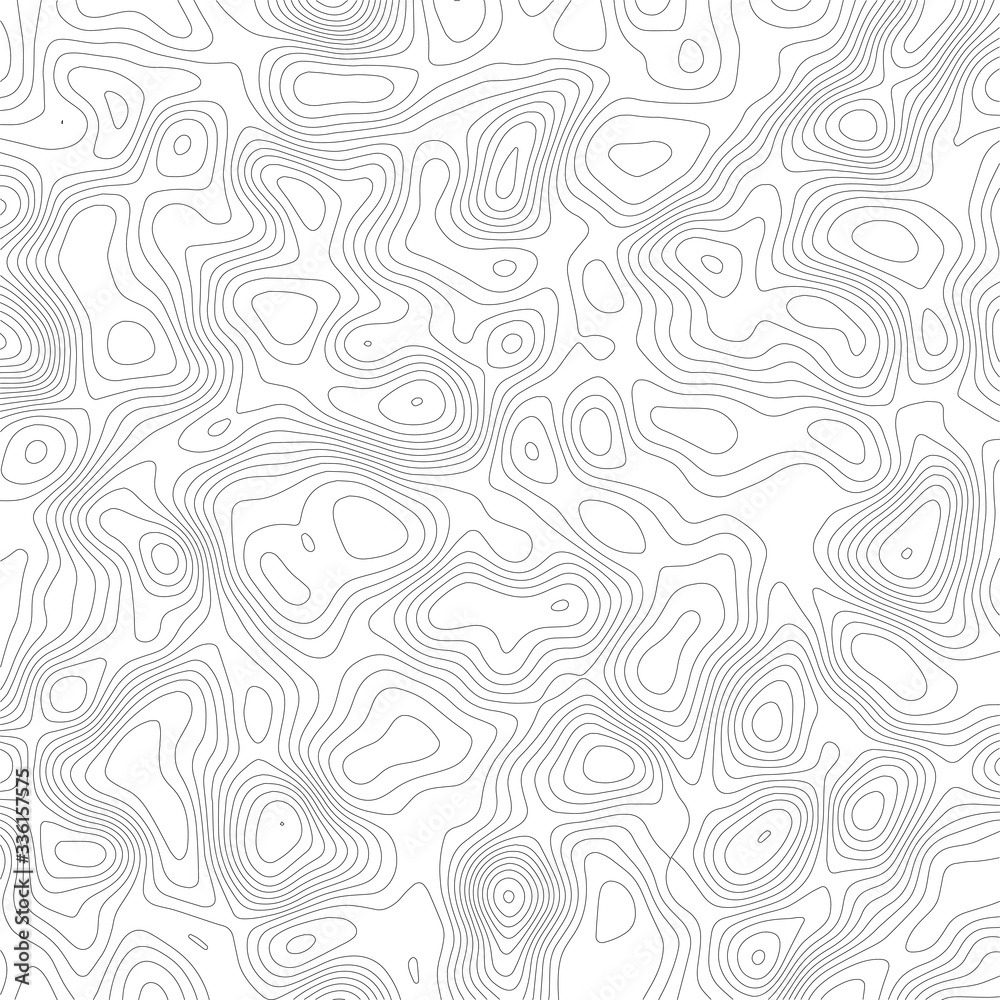 Vector contour topographic map on white background.