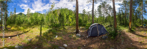 camping tent panorama in green summer forest at sunrise. Cylindrical panorama 360