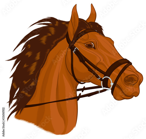 Portrait of a chestnut horse dressed in English bridle with a snaffle bit. Stallion pricked up its ears and stared ahead warily with flared nostrils. Vector emblem for stud farms, equestrian clubs.
