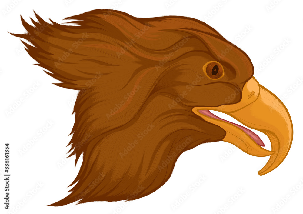 Fototapeta premium Portrait of a flying brown eagle with its mouth open. Image of a hunting hawk.