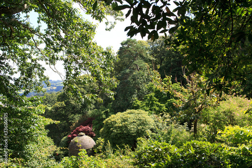 Fotografie Saltash (England), UK - August 21, 2015: Cotehele park, near Saltash,  Cornwall, England, United Kingdom