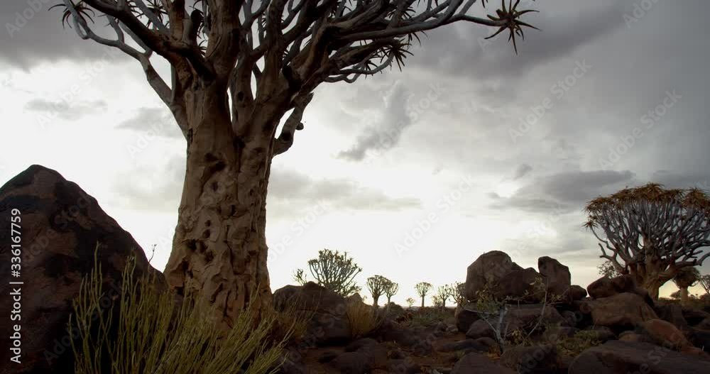 Cloudy sky over the Quiver Tree Forest of Namibia, beautiful clouds, 4k Cloudy sky over the Quiver Tree Forest of Namibia, beautiful clouds, 4k