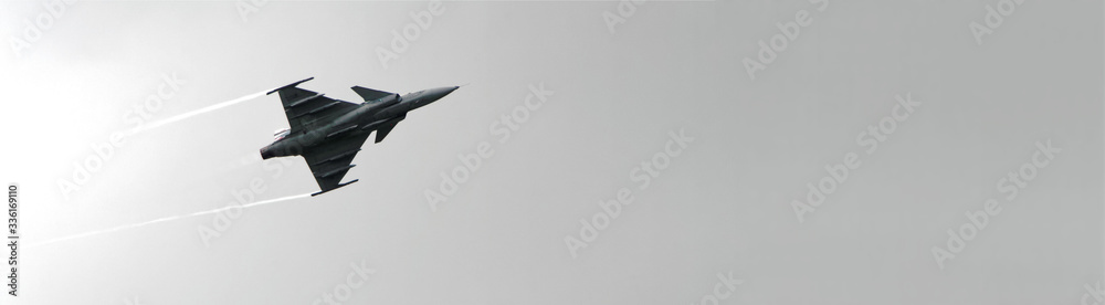 jet fighter - Gripen - obrazy, fototapety, plakaty 