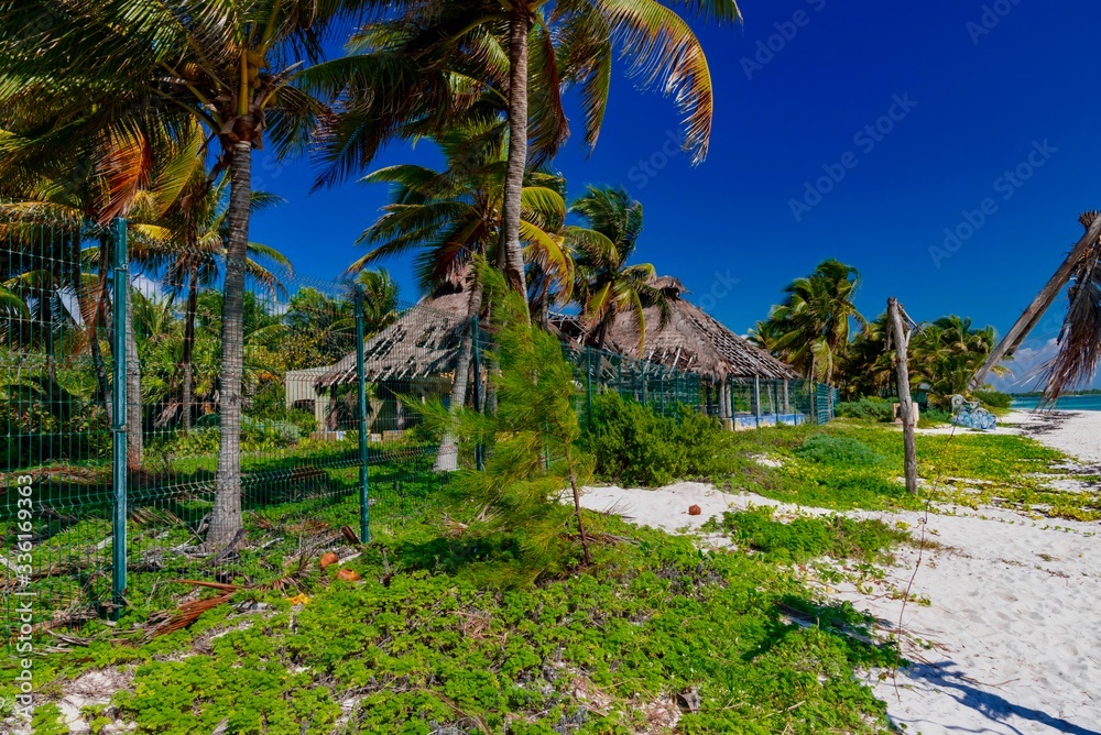 Caribbean landscape with palm trees on biamca beach Playa del Carmen Mexico