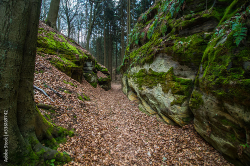 Obraz na płótnie Golden Path of Bohemian Paradise surrounded by sandstones w salonie
