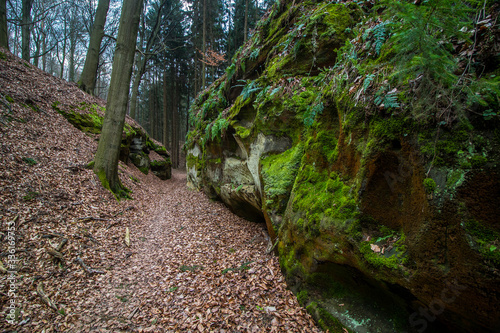 Obraz na płótnie Golden Path of Bohemian Paradise surrounded by sandstones w salonie