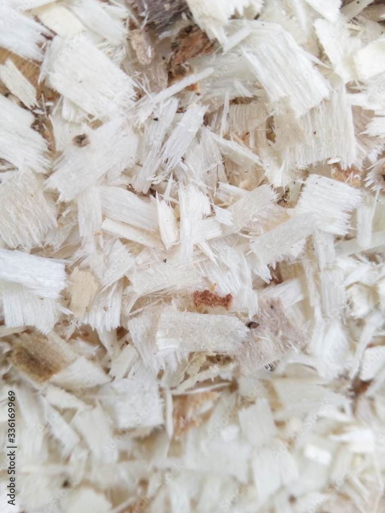 close up of wood shavings
