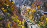 Colorful trees in autumn mountains
