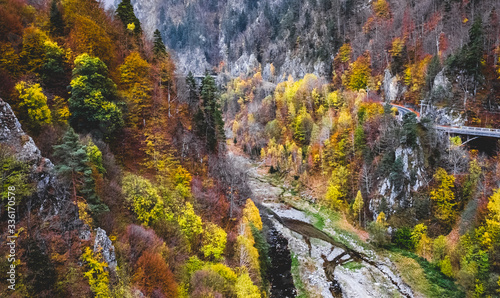 Colorful trees in autumn mountains