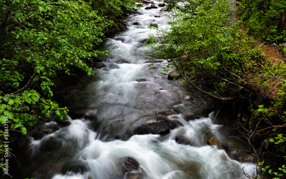 Fototapeta premium River Stream