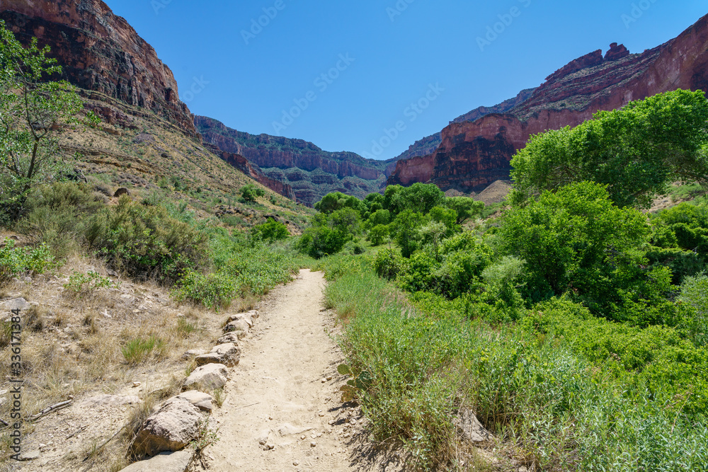 hiking through indian garden on bright angel trail in grand canyon national park, arizona, usa