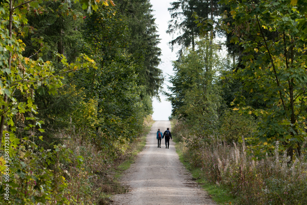 walk in the woods