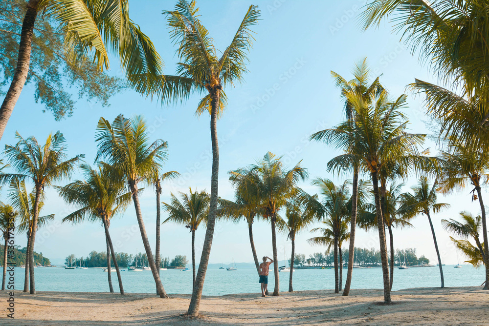 Obraz premium Palm beach