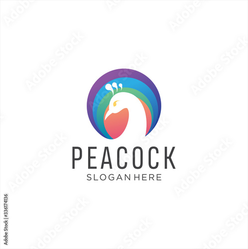 Peacock Logo Design Vector Stock Illustration, peafowl Logo Design Colorful