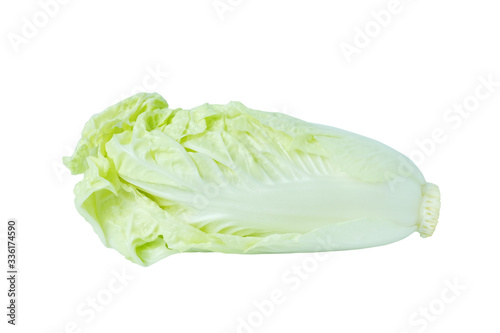 Fresh chinese cabbage isolated on a white background with clipping path.