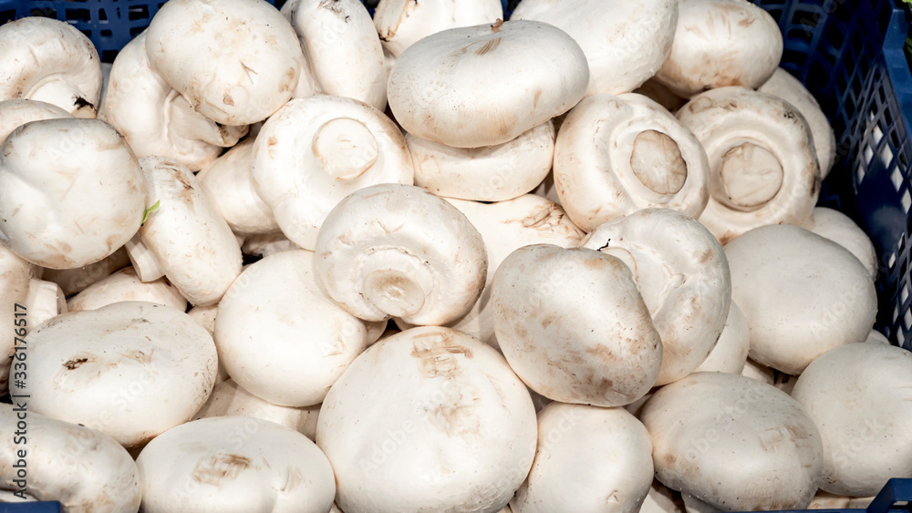 fresh champignons in a basket at the market. fresh champignons in a basket at the market.