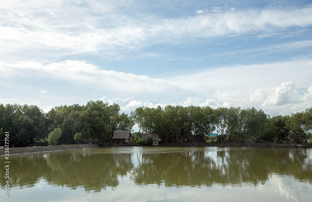 rural house on the shrimp farming agriculture lifestyle rural house on the shrimp farming agriculture lifestyle