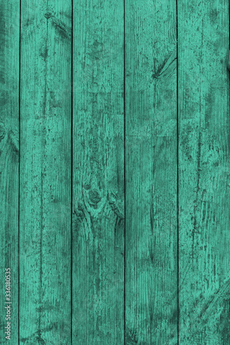 Old wooden background with green paint.