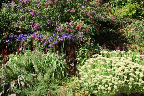 Fotografie Saltash (England), UK - August 21, 2015: Cotehele park, near Saltash,  Cornwall, England, United Kingdom