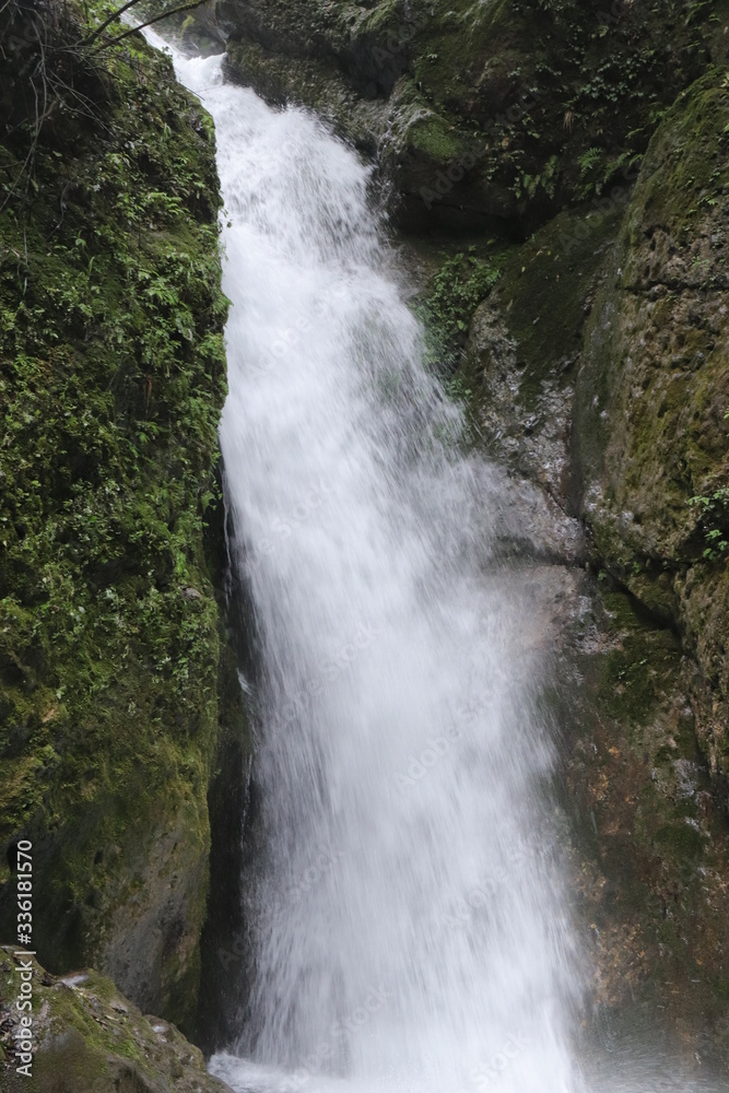 Fototapeta premium Beautiful landscape of a waterfall in a forest in a Mountain in Sichuan, China