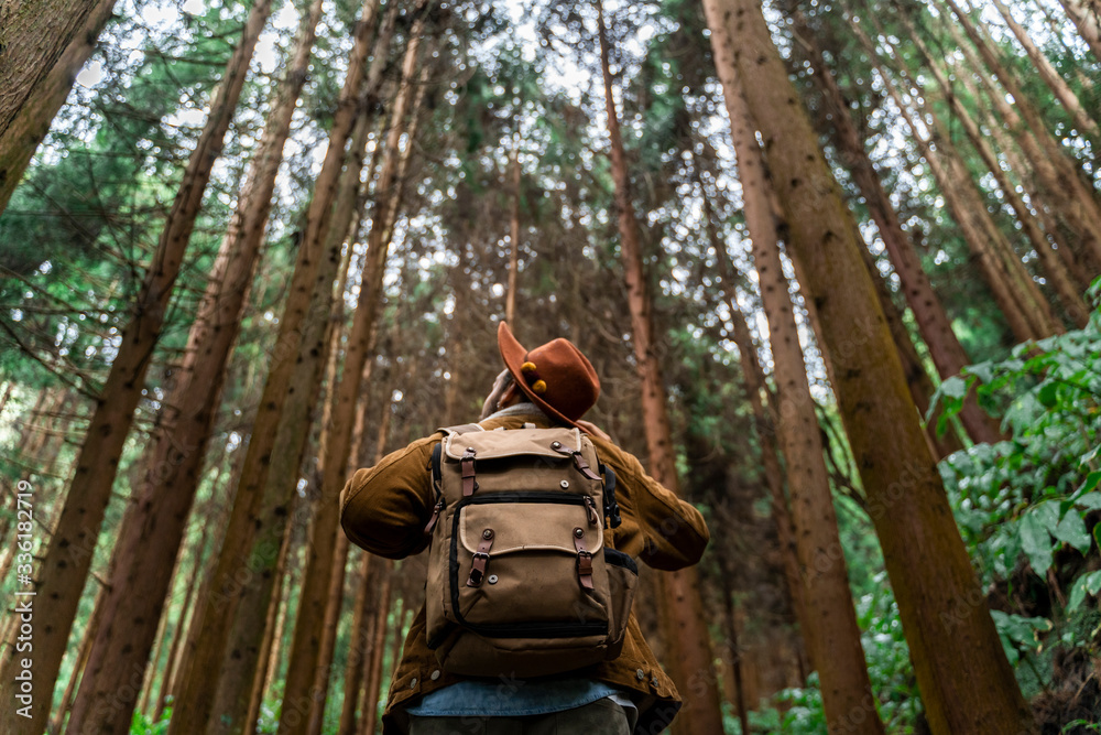 Man standing in forest surrounded by trees, Sao Miguel Island, Azores, Portugal Man standing in forest surrounded by trees, Sao Miguel Island, Azores, Portugal