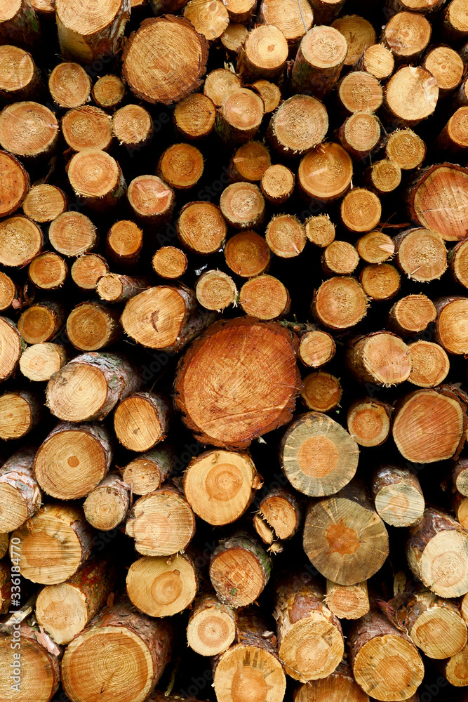Germany, Stack of firewood Germany, Stack of firewood