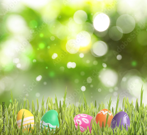 Colorful Easter eggs in green grass against blurred background  space for text