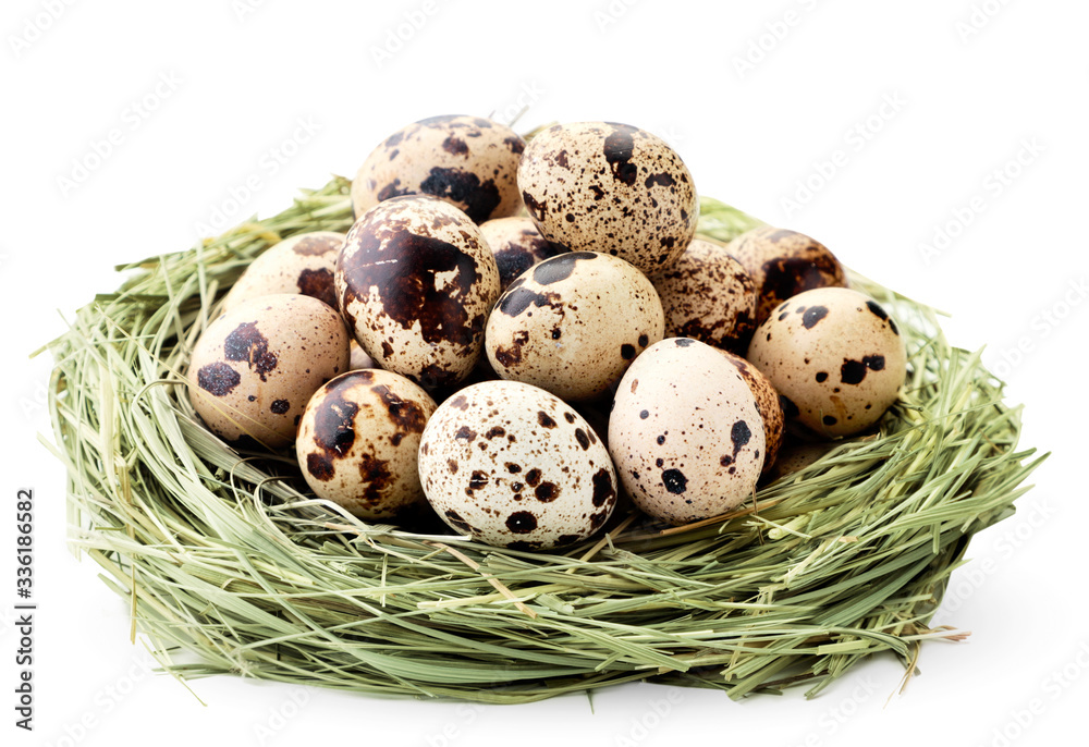 Obraz premium Quail eggs in a nest of hay on a white. Isolated