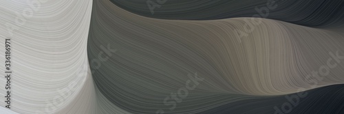 elegant decorative header with dark slate gray, silver and dark gray colors. fluid curved lines with dynamic flowing waves and curves © Eigens