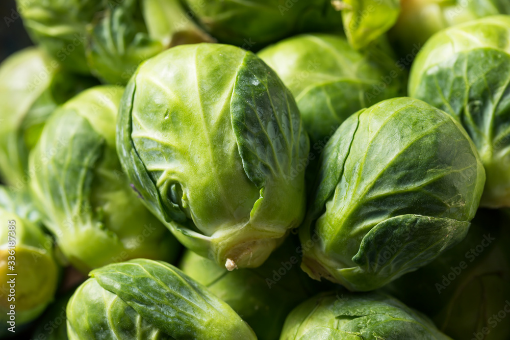 Fototapeta premium Raw Organic Green Brussel Sprouts