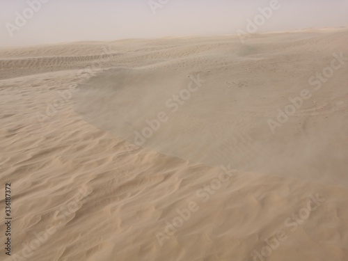 sand dunes in the desert