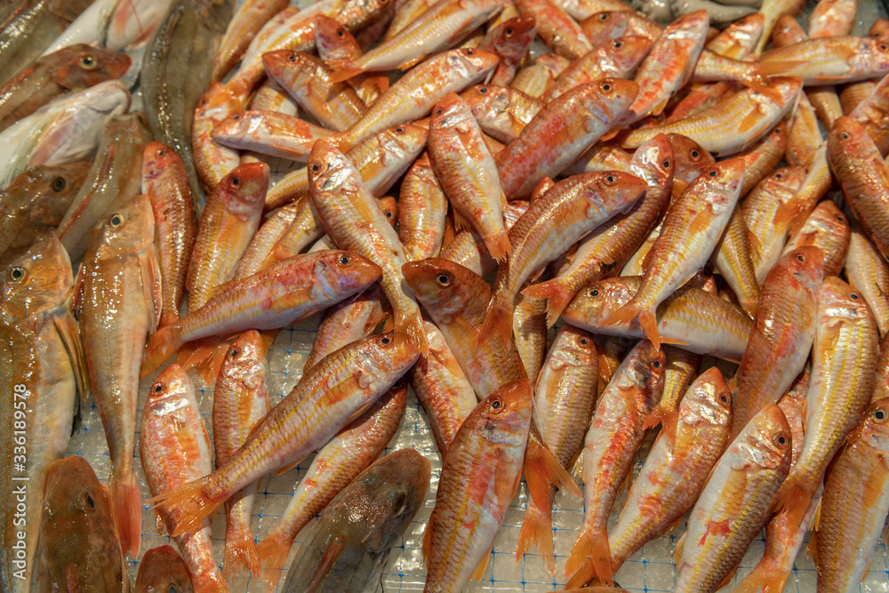 Sea food market of Ortigia island with fresh fish on the stalls in province of Syracuse in Sicily Sea food market of Ortigia island with fresh fish on the stalls in province of Syracuse in Sicily