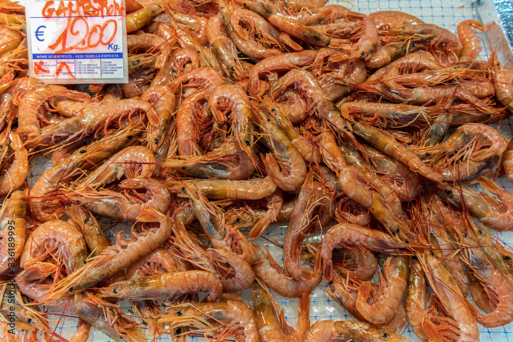 Fresh red big ocean shrimps on ice in the local market of Ortigia island in province of Syracuse in Sicily