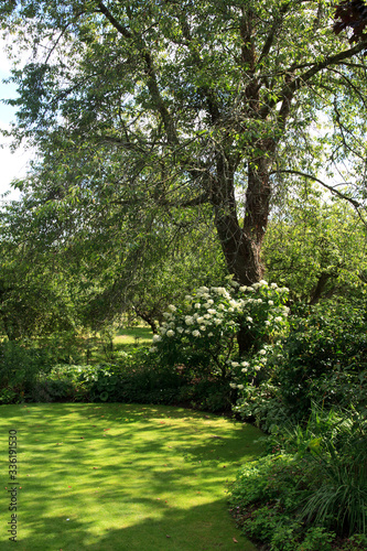 Photography Saltash (England), UK - August 21, 2015: Cotehele park, near Saltash,  Cornwall, England, United Kingdom