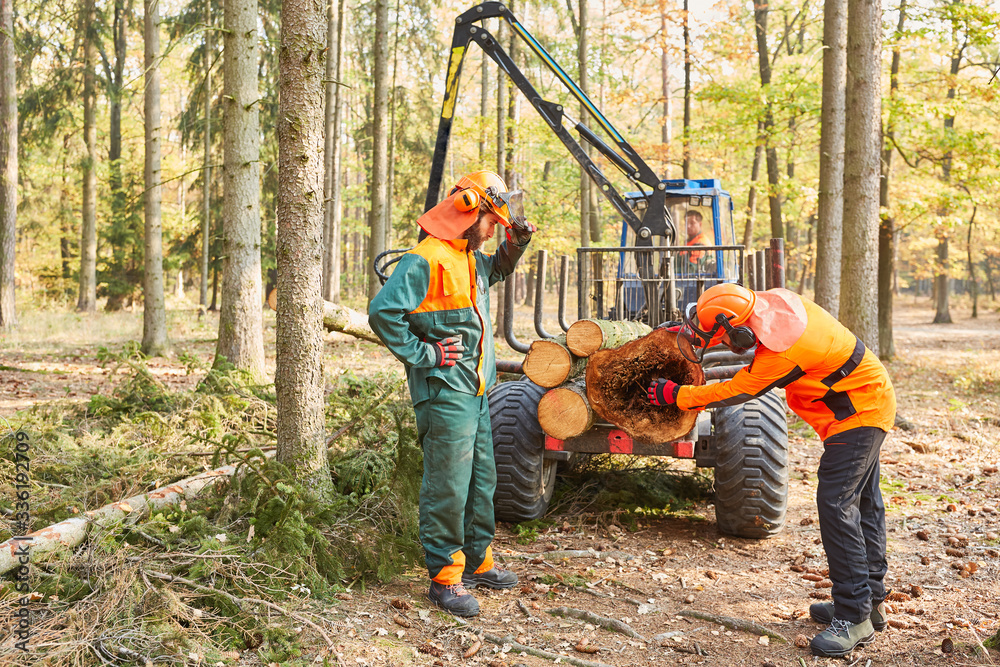 Two forest workers control pest infestation Two forest workers control pest infestation