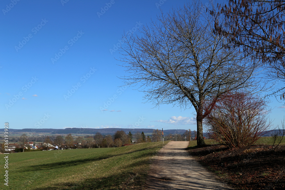 Spring landscape. Spring landscape with a tree Spring landscape. Spring landscape with a tree